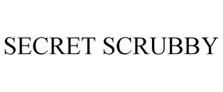 SECRET SCRUBBY