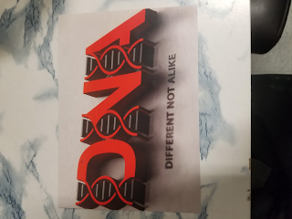 DNA DIFFERENT NOT ALIKE