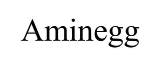 AMINEGG