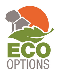 ECO OPTIONS