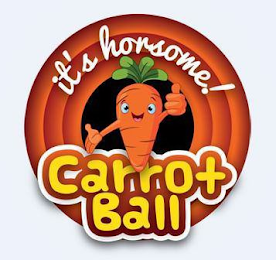 IT'S HORSOME! CARROT BALL