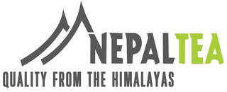 NEPALTEA QUALITY FROM THE HIMALAYAS
