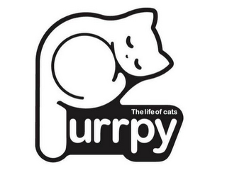 PURRPY THE LIFE OF CATS
