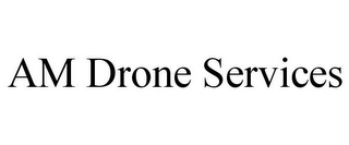 AM DRONE SERVICES