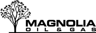 MAGNOLIA OIL AND GAS
