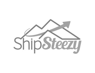 SHIP STEEZY