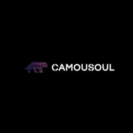 CAMOUSOUL