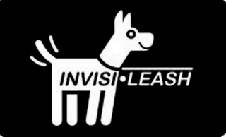 INVISI LEASH