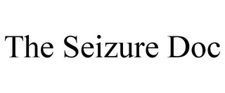 THE SEIZURE DOC