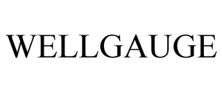WELLGAUGE