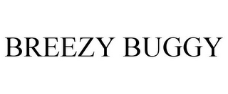 BREEZY BUGGY