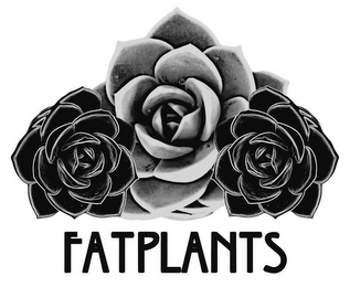 FATPLANTS