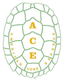 ACE AMERICAN CORE ESSENCE