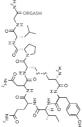 H2N ORGASM HN O NH O N O NH O NH2 O NH H2N 0 0 HN HN 0 0 0 H 0 OH NH2