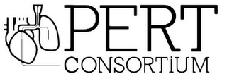 PERT CONSORTIUM