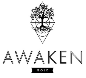 AWAKEN GOLD