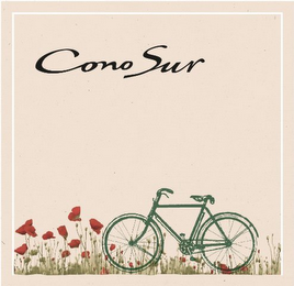 CONO SUR