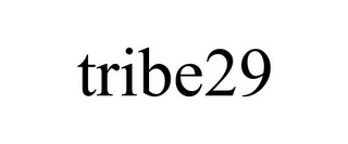 TRIBE29