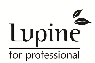 LUPINE FOR PROFESSIONAL