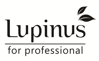 LUPINUS FOR PROFESSIONAL