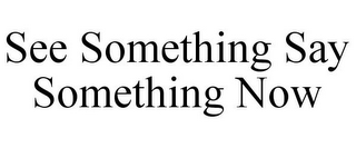 SEE SOMETHING SAY SOMETHING NOW