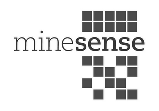 MINESENSE