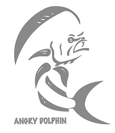 ANGRY DOLPHIN