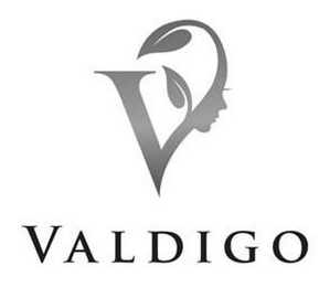 V VALDIGO