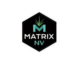 M MATRIX NV