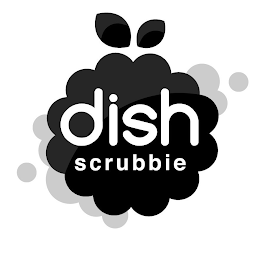 DISH SCRUBBIE