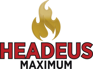 HEADEUS MAXIMUM