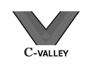 V C-VALLEY