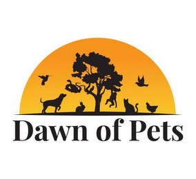 DAWN OF PETS