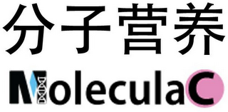 MOLECULAC