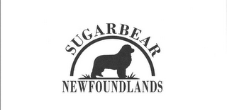 SUGARBEAR NEWFOUNDLANDS