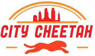 CITY CHEETAH