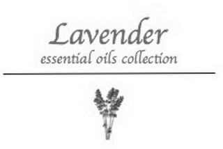 LAVENDER ESSENTIAL OILS COLLECTION