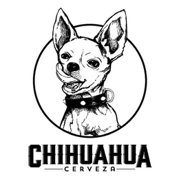 CHIHUAHUA CERVEZA