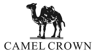 CAMEL CROWN