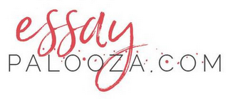 ESSAYPALOOZA.COM