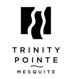 TRINITY POINTE MESQUITE