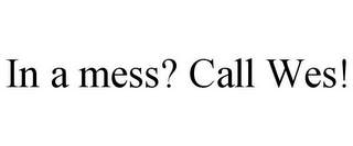 IN A MESS? CALL WES!