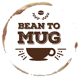 BEAN TO MUG
