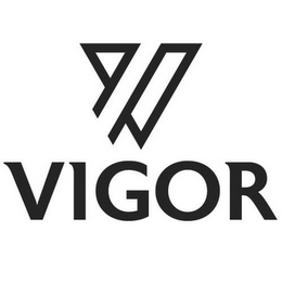 V VIGOR