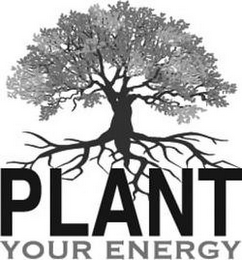 PLANT YOUR ENERGY