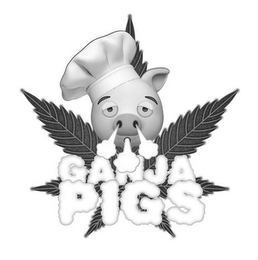 GANJA PIGS