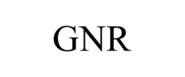 GNR HEALTH SYSTEMS, INC.