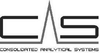 CONSOLIDATED ANALYTICAL SYSTEMS CAS