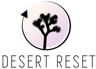 DESERT RESET