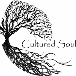 CULTURED SOUL